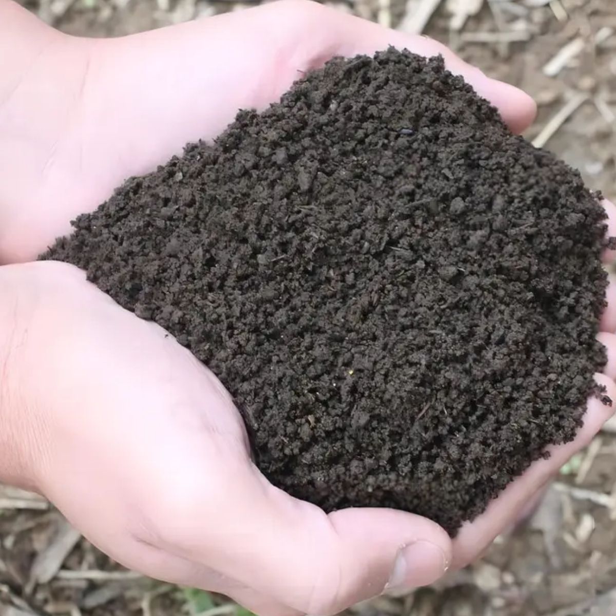 Substrato Mix para Rosa do Deserto 1kg - Drenagem e Vigor - Imagem 2