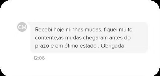Depoimento de cliente: Recebi hoje minhas mudas, fiquei muito contente, as mudas chegaram antes do prazo e em ótimo estado. Obrigada