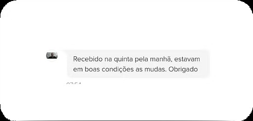 Depoimento de cliente: Recebido na quinta pela manhã, estavam em boas condições as mudas. Obrigado