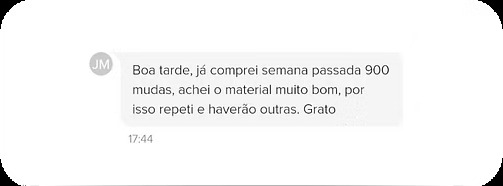 Depoimento de cliente: Boa tarde, já comprei semana passada 900 mudas, achei o material muito bom, por isso repeti e haverão outras. Grato
