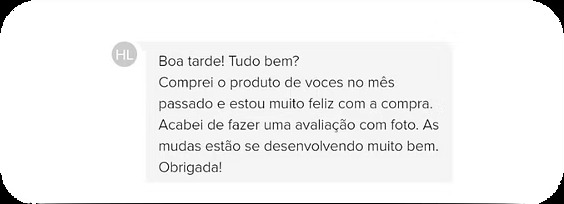 Depoimento de cliente: Boa tarde! Comprei o produto de vocês no mês passado e estou muito feliz com a compra. Acabei de fazer uma avaliação com foto. As mudas estão se desenvolvendo muito bem. Obrigada!