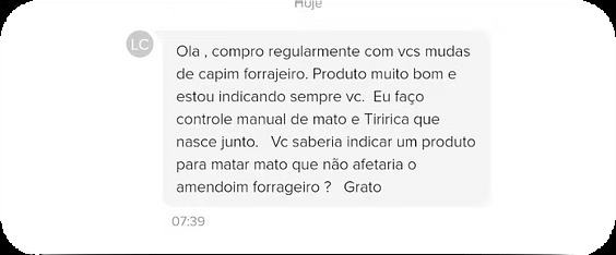 Depoimento de cliente: Olá, compro regularmente com vocês mudas de capim forrageiro. Produto muito bom e estou indicando sempre vocês.