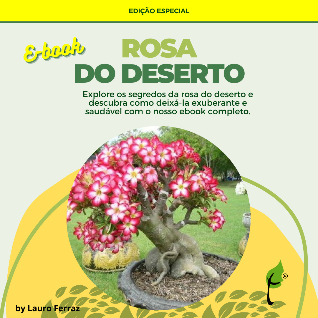 Capa — Rosa do Deserto