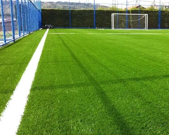Campo de futebol com grama bermudas e a linha de marcação