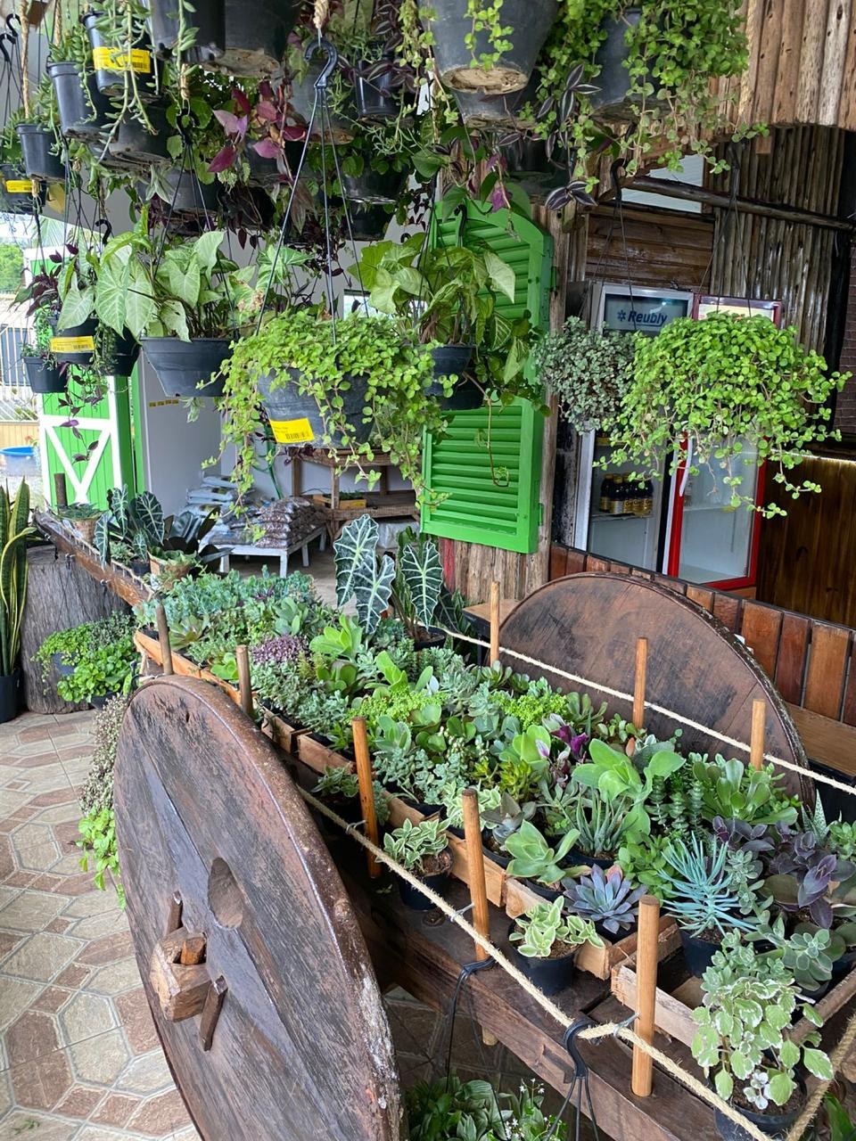 Carroça de suculentas do Sítio Nativo Garden com as plantas pendentes ao fundo